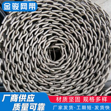 厂家生产耐热钢高温网带 高温玻璃制品退火炉网带 陶瓷烤炉输送带