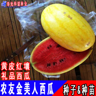 ̨���r�ѽ��������ϷN�ӽ�Ƥ�t��С�����ϷN�ѶYƷ�SƤ������