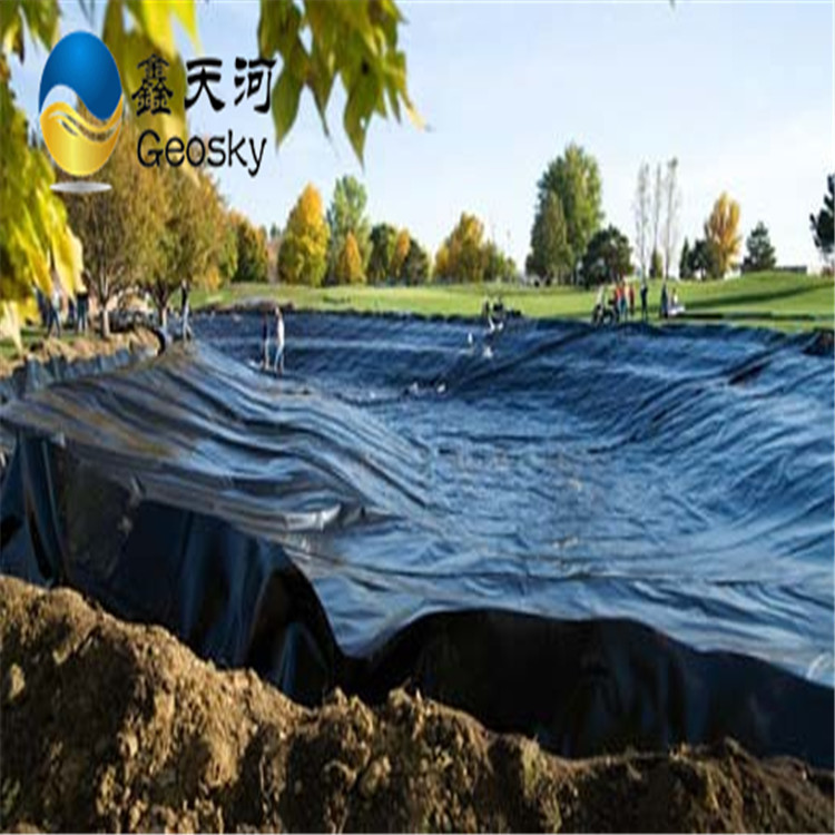 hdpe土工膜 山东厂家直供 污水处理 垃圾填埋 鱼塘养殖膜