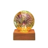 TL02-Firefans Lantern