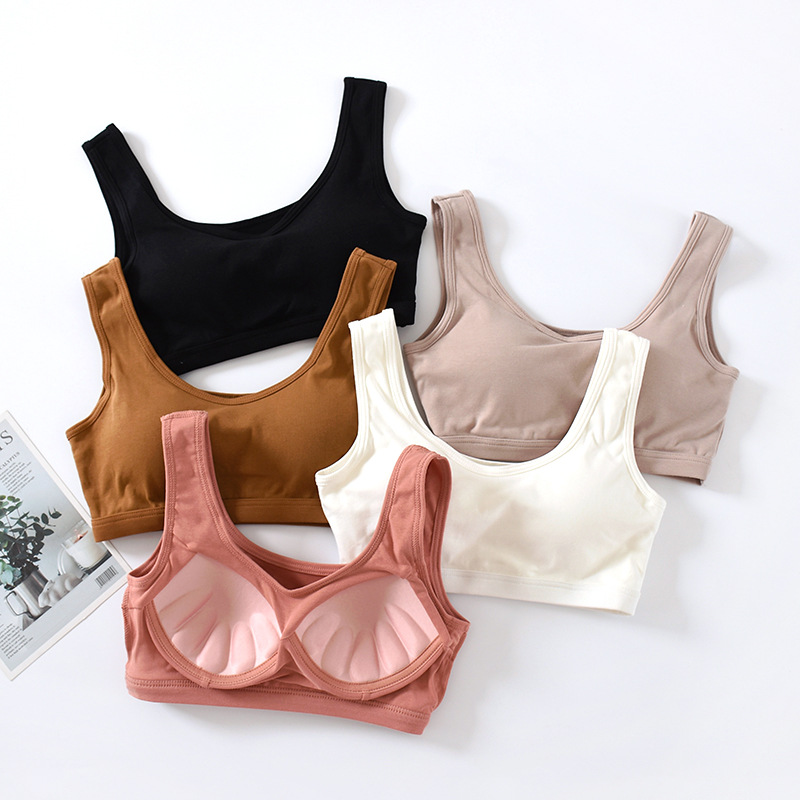 스틸 링이없는 가슴 패드 끈이없는 작은 조끼 코튼 스트랩으로 짧은 BRA BRA BRA BRA BRA 헤어 세대 내부