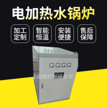 厂家供应 电加热水锅炉节能电热水锅炉快装落地式电热水常压批发