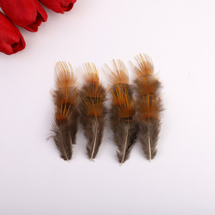 �S��ֱ�N������Ȼ�uëDIY�\�u�S�z�F؛ ����ă����Ʒ�b���