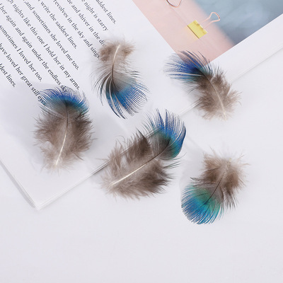 孔雀蓝片羽毛 崇一供应孔雀蓝片羽毛个性DIY饰品装饰辅料配件批发