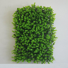 GɫȼֲϻŲƺ^ݼپGֲ