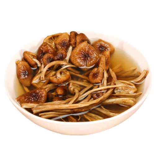 Dried Unopened Mushroom Shiiitake Specialty Product from Gutian, Fujian - 500g Edible Fungus Agricultural Product