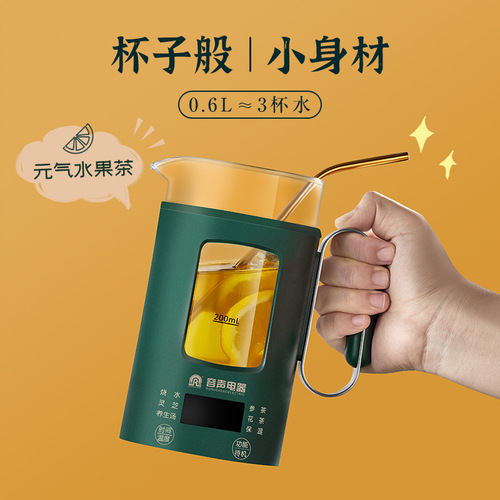 Rongsheng household health pot portable glass tea maker travel electric hot water cup mini kettle boiling flower teapot