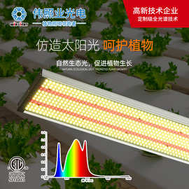 LED植物生长灯大功率全光谱大棚花卉补光灯植物照明灯批发