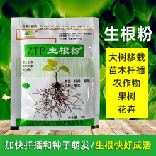 ���������۹�����ľ����Ǥ������������ֲ��ͨ�ôٸ��������焩