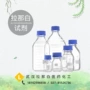 100ml胺