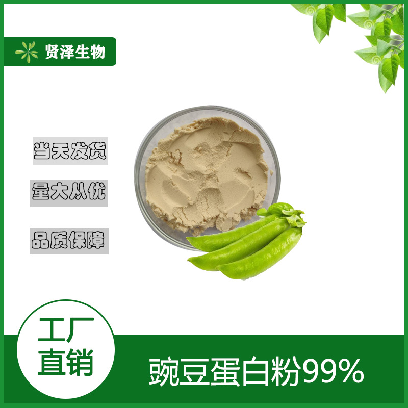 豌豆蛋白粉   食品级蛋白粉  豌豆分离蛋白 豌豆提取物 贤泽生物