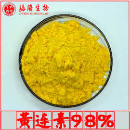 黄连素98% 绿腾生物 盐酸小檗碱 黄连提取物 1kg起订 量大从优