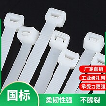 自锁式尼龙扎带外贸黑白色塑料扎带捆线带耐寒抗老化束线带100根