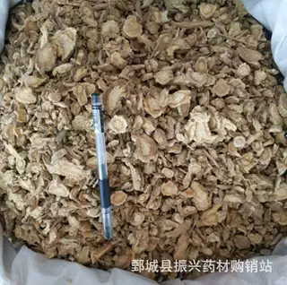 防风【振兴中药】中药材批发供应【选货防风】