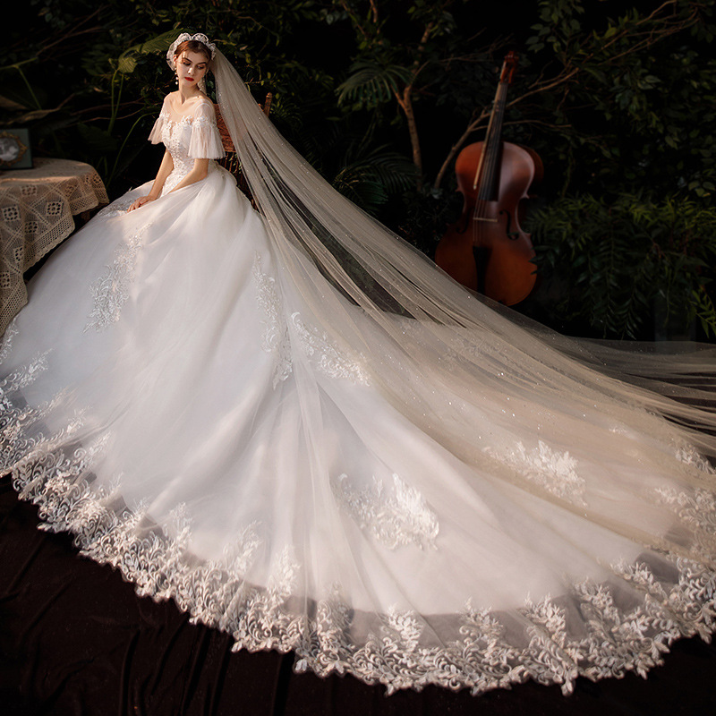 Vestido de Novia de Estilo Francés para Comercio Exterior, Modelo 2025, Nuevo, Lujoso, con Cola Larga, Cubre Brazos, Talla Grande, Venta al por Mayor, TD70