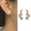 Fashionable glossy sophisticated fresh earrings, simple and elegant design