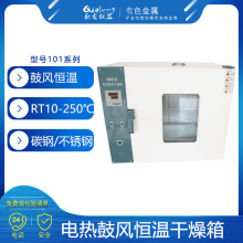 鼓风干燥箱碳钢/不锈钢实验室用数显电热鼓风恒温干燥箱