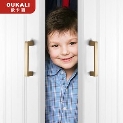 Okali golden American simple cabinet wardrobe drawer cabinet door kitchen cabinet copper brushed handle zinc alloy door handle