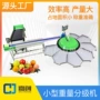 重量产量水果猕猴桃选果机