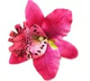 Rose red