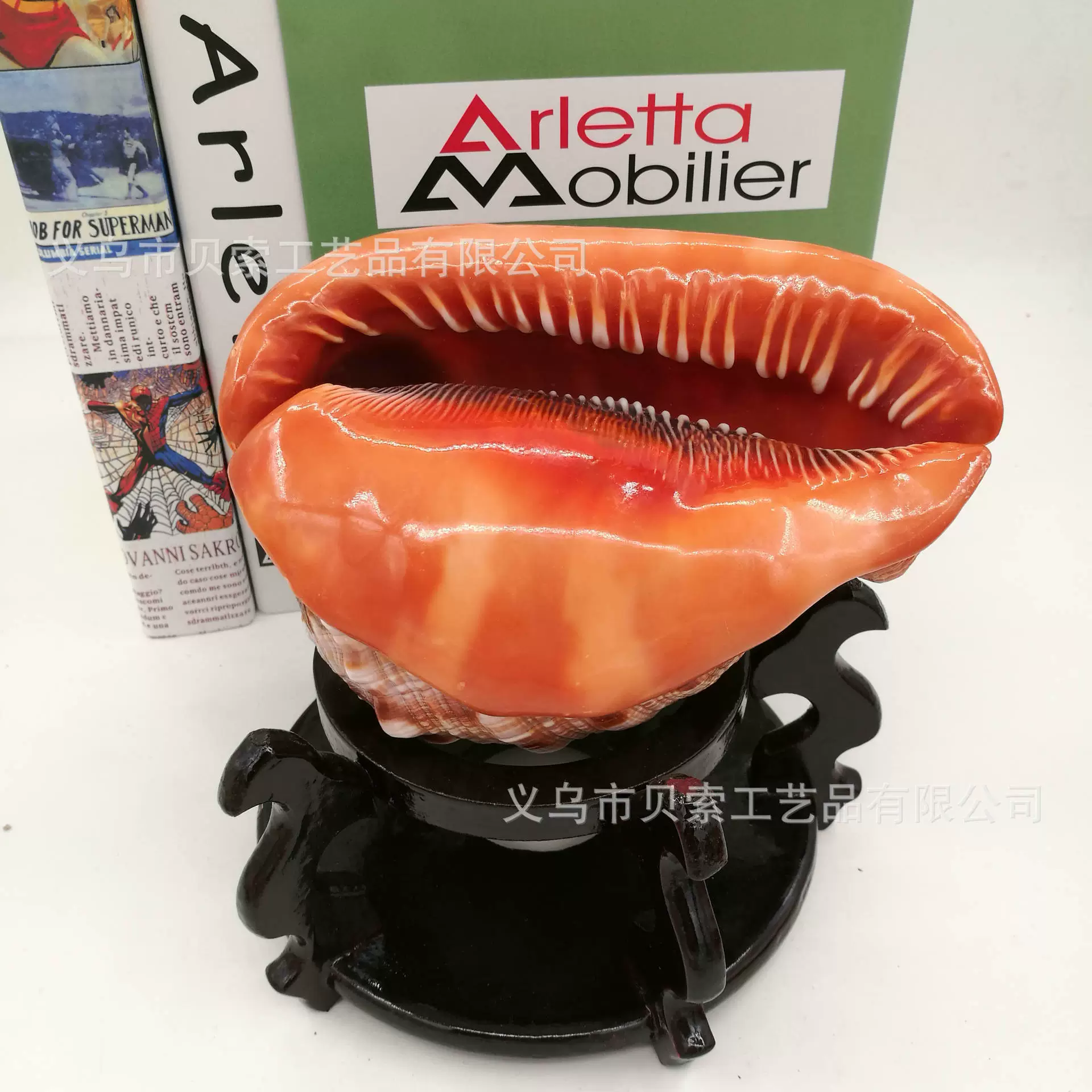 Study natural shell Conchihashi Fish Tank Landscape Decoration Shell Conch Wholesale Wind Bell DIY Crafts
