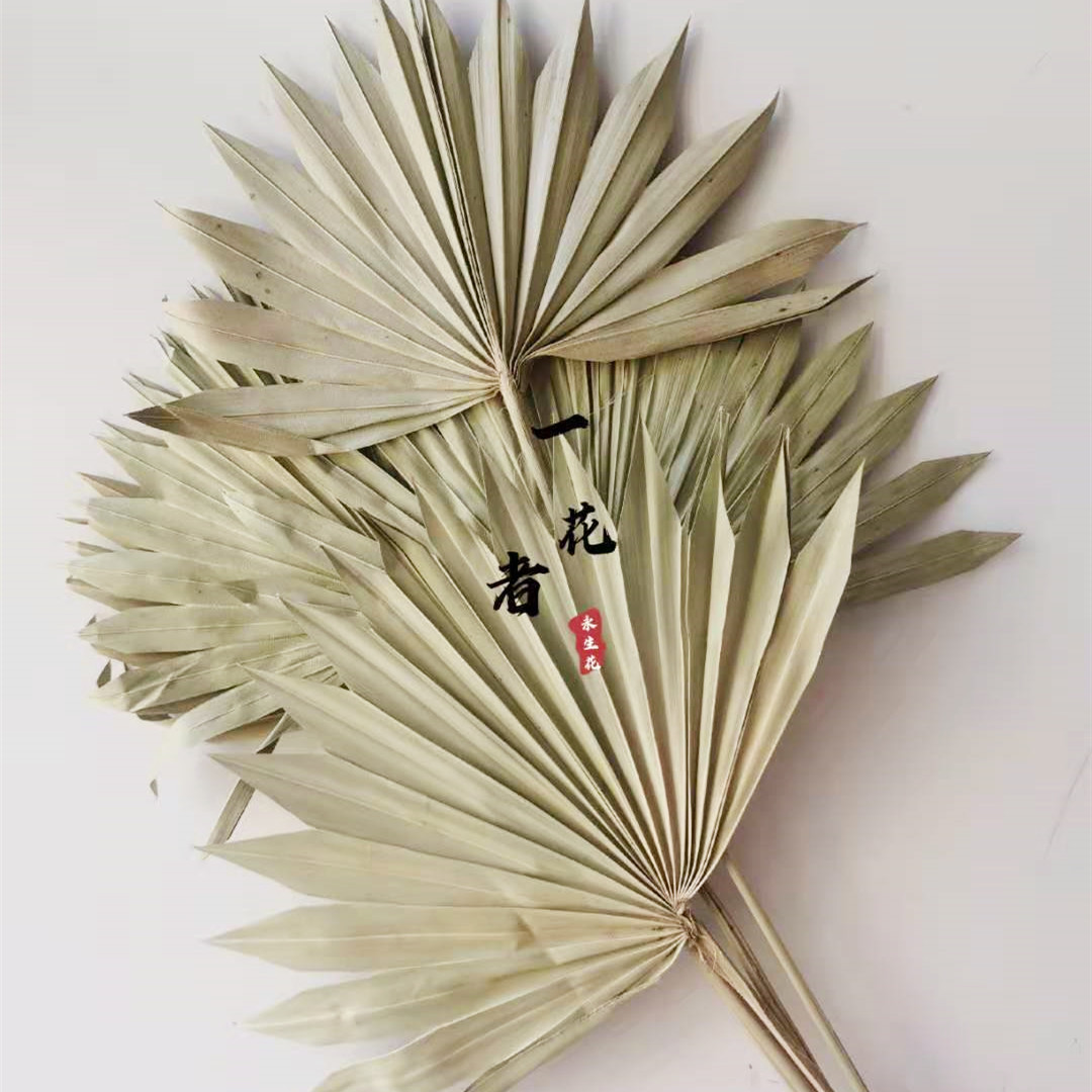 관음 팬 원래 색상