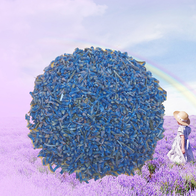 新款上市薰衣草 色泽鲜艳 香味浓郁 薰衣草干花批发供应