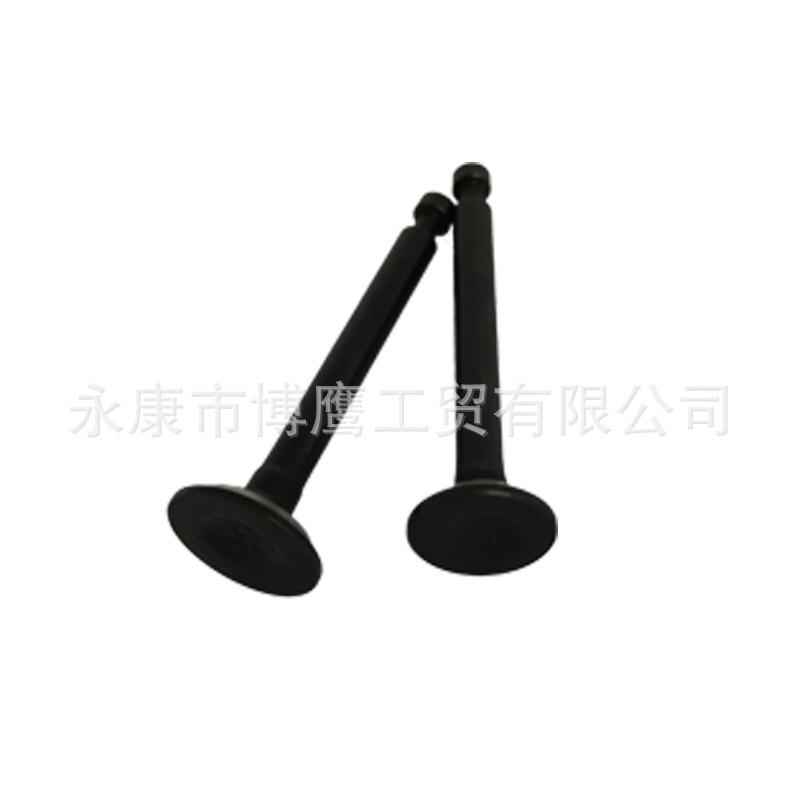 供应四冲程割草机进排气门 139汽油机进气门 打草机配件批发