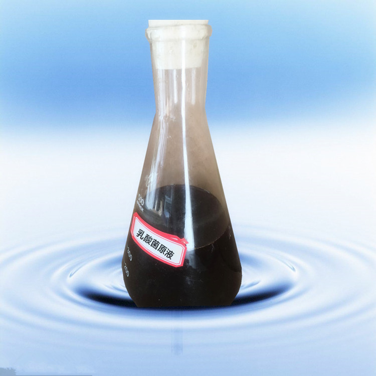 水产乳酸菌复合菌微生物制剂菌种乳酸原液粪链球菌批发乳酸菌