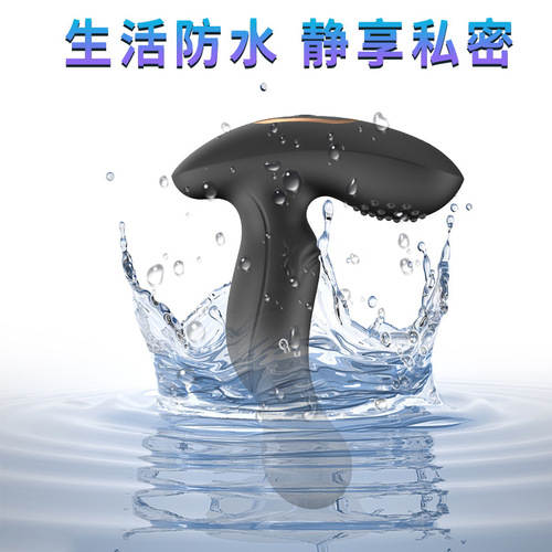 Toggle anal plug vibrator g-spot vibration massager remote control anal plug backcourt masturbation vibrator adult sex products