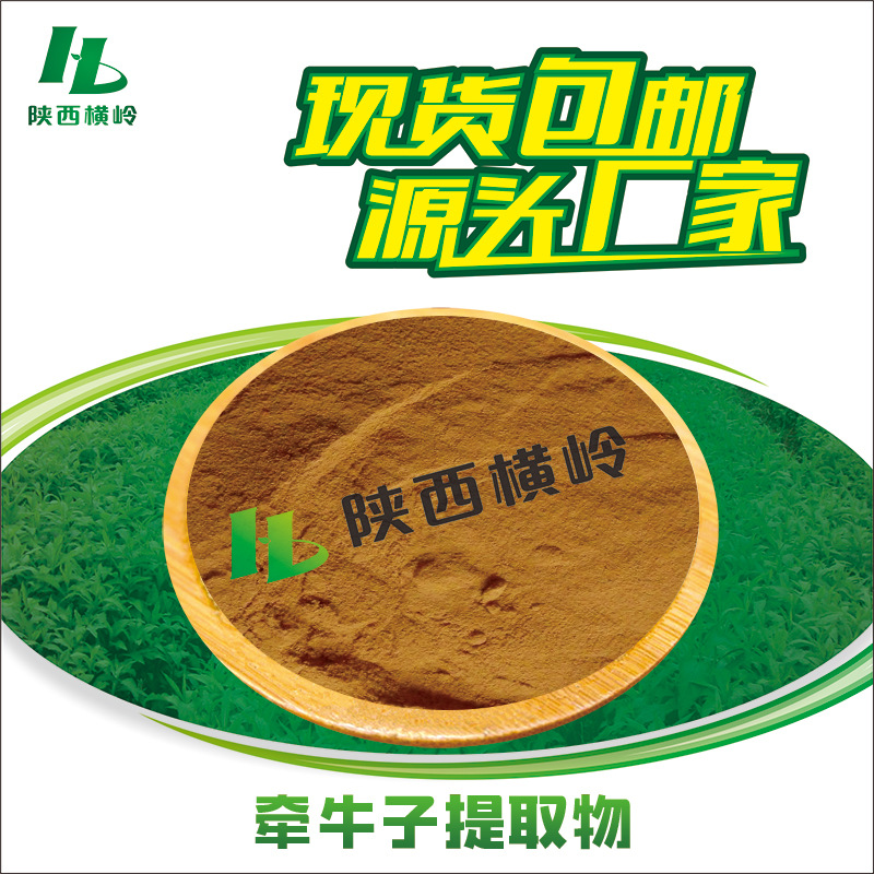 牵牛子提取物 30:1牵牛子粉 黑丑/白丑萃取 二丑提取物 水溶 包邮