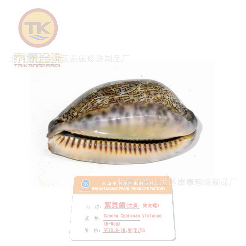 �����ϱ���_�ϱ����� _�̱���_���ı�_��֧��_�������ݱ� ������