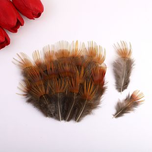 �S��ֱ�N������Ȼ�uëDIY�\�u�S�z�F؛ ����ă����Ʒ�b���