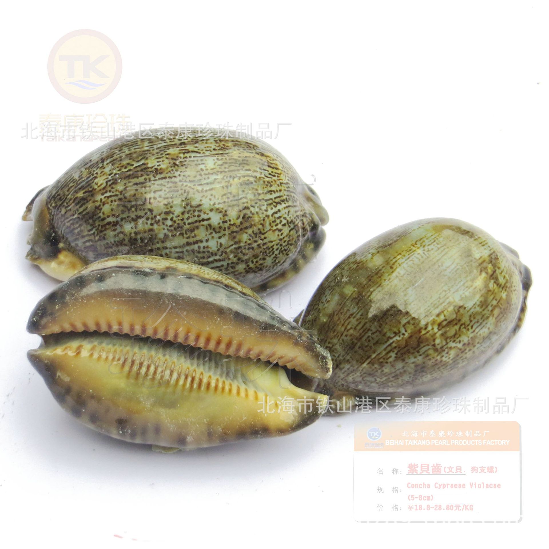 �����ϱ���_�ϱ����� _�̱���_���ı�_��֧��_�������ݱ� ������