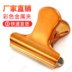 Colorful metal clips without holes, retro long-tail clips, journal clips, document clips, Nordic INS coffee clips, multiple