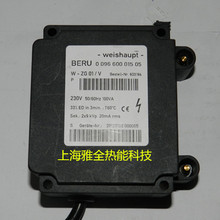 ���I���l����ȼ��ȼ���C�c��׃����W-ZG01   W-ZG02�߉���