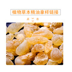 厂家10ML当归精油川芎油白芷精油连翘样板按摩身体油单方10ML香薰