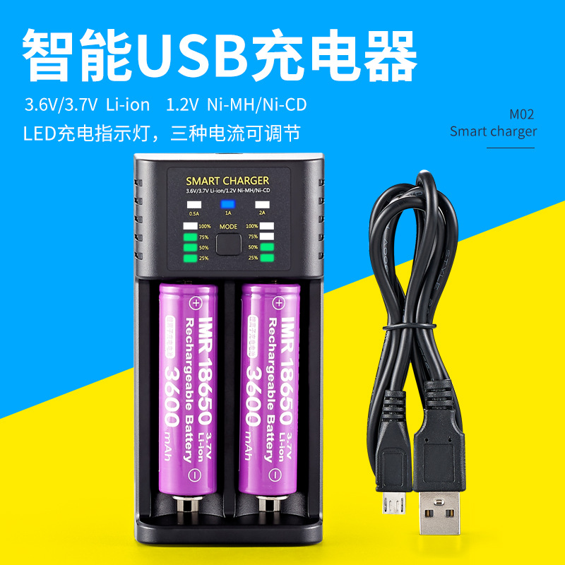 Smart lithium battery