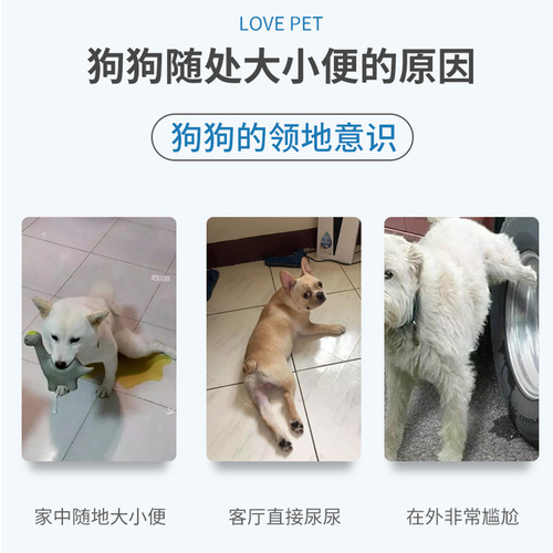 Manufacturer Direct Sale Baomeilu Bowel Stimulation Agent 120ML Cat and Dog Urine and Defecation Localization Agent Pet Training