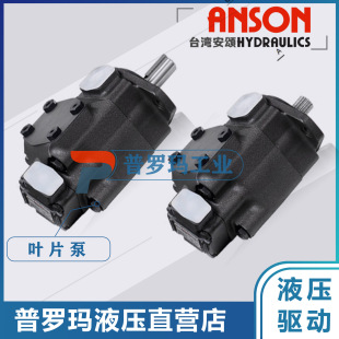 ANSON����~Ƭ���ͱìF؛IVPV1-3/4/5/6/7-F-R-1A/1B/1C/1D-10