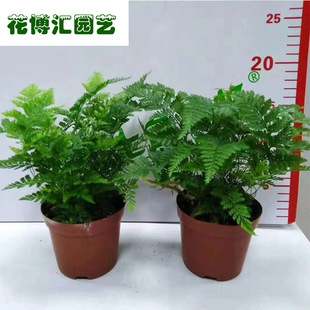 ΢���^��������������βާ���Ի���ާ����Ի������l�M��G������