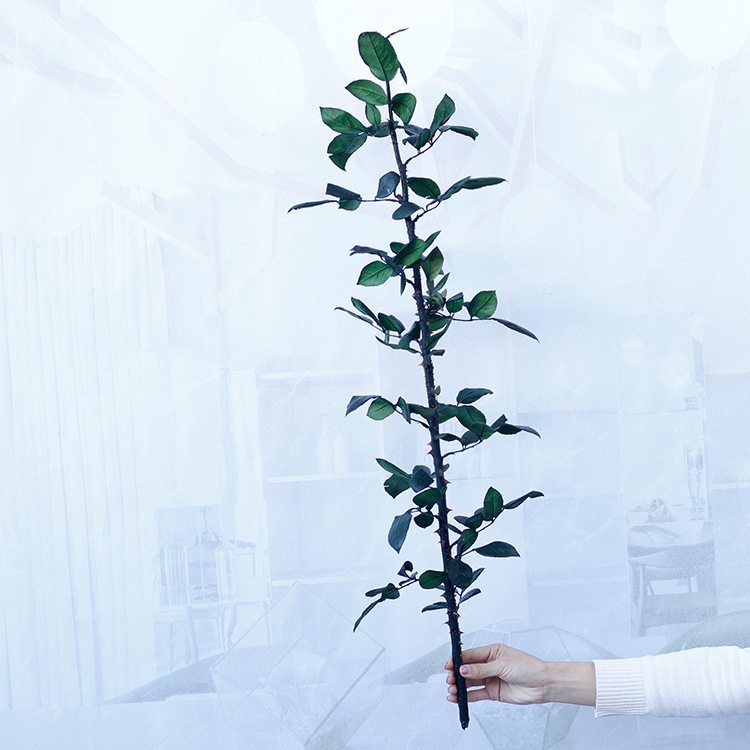 Regalo de cumpleaños del Día de San Valentín DIY material flor eterna Rosa rama sola flor Rosa varilla arreglo floral al por mayor