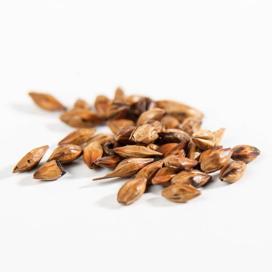 Barley tea herbal tea wholesale fragrant barley tea bulk to undertake large goods barley tea large quantity Congyou Hotel