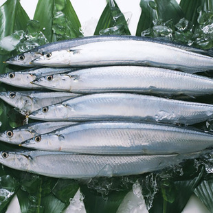 �ﵶ�~ �����������ﵶ�~1̖2̖3̖�ش�̖20��