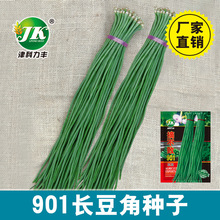 墨绿色901长豇豆种子早熟豆角种籽春夏秋季种植搭架原厂彩包菜籽