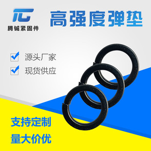 ̼8.8| _ڏ| ɫ|ى|Ƭ ߏȏɉ|Ƭ