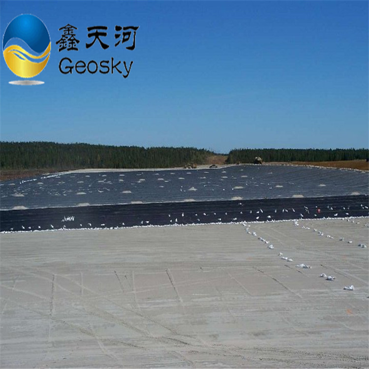 中铁土工膜直供厂家鱼塘藕池泥鳅养殖专用防渗膜聚乙烯土工膜