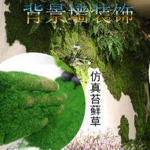300克仿真青苔植物室内背景墙绿化景观绿植苔藓墙面装饰布景草粉