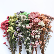���������r������С�׻� ��޹���λ��Ĕz����diy�o�Ļ��Ĺ��S���l
