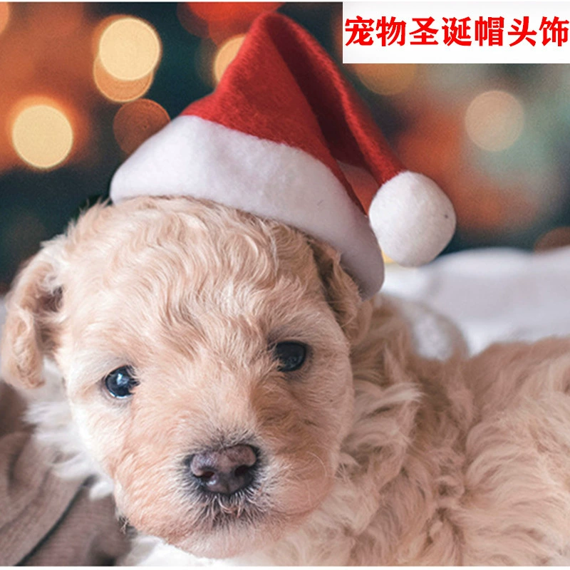 Амазонка взрывы Рождественские украшения домашнее животное шляпа собака шляпа высокого класса Плюшевые шляпа домашнее животное шляпа одежда